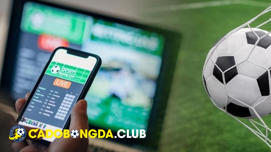 Những Sản Phẩm Trong Web Cá Độ Bóng Đá Online Người Chơi Có Thể Tham Gia